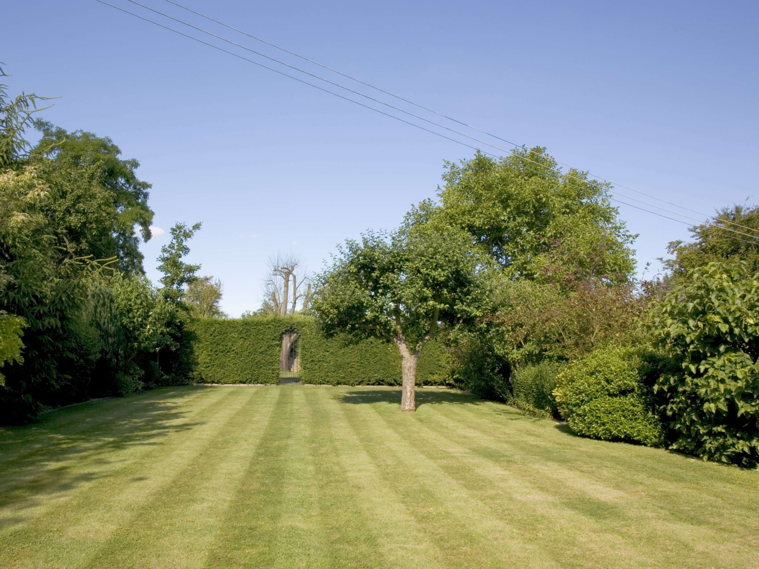 Lawn Mowing/Hedge Trimming Streatham SW16