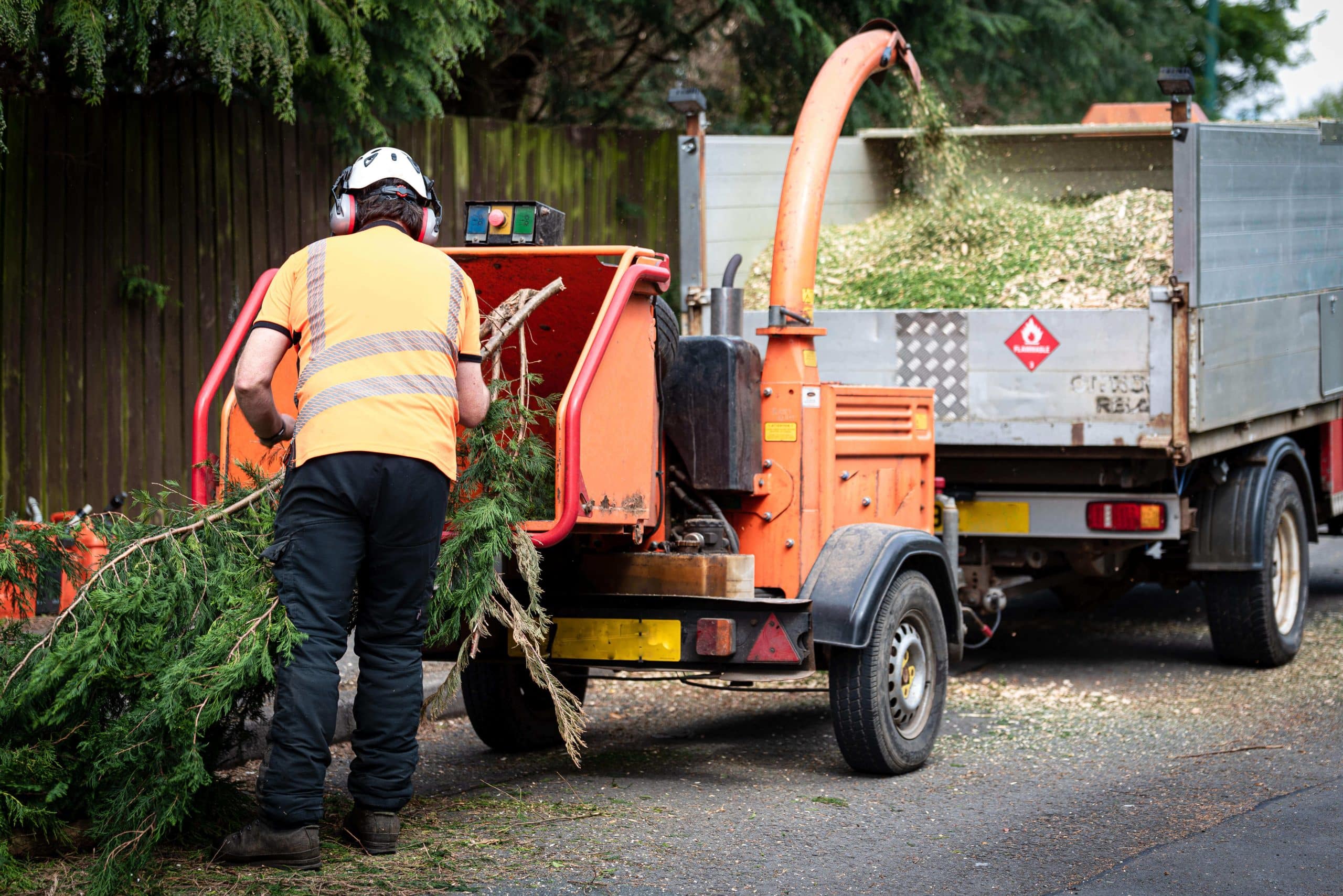 Tree Stump Grinding/Removal Streatham SW16